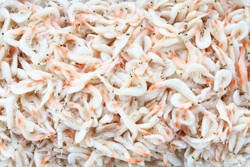 Fresh salted shrimp. This is one of the most important ingredients of Kimchi, Korean traditional food. 