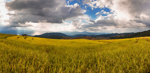 Beautiful landscape of rice terrace view with clouds and sun beam in Chiang Mai, Northern Thailand