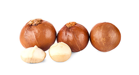 macadamia nuts isolated on white background