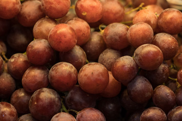 Chinese delicious fruit