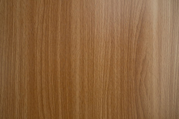 wood background texture, abstract, natural background
