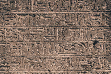 egypt hieroglyphs carved on the stone