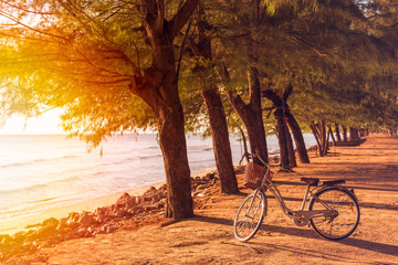 Vintage bicycle with a basket  near beach mornimg. Copy space