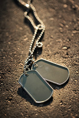 Dog tags background