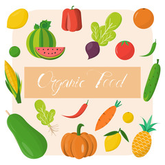 Organic food template. Vector illustration, set of vegetables and fruits