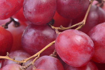 Grape fruit