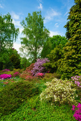 beautiful landscape. Spring Nature