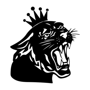 Black panther with crown on his head and open mouth, on white background,