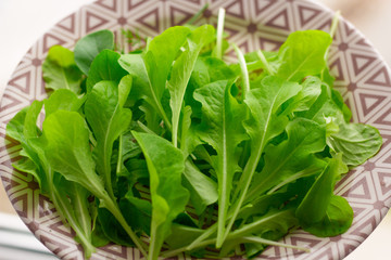 top view fresh green salad leaves