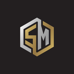 Initial letter SM, looping line, hexagon shape logo, silver gold color on black background