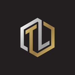 Initial letter TL, looping line, hexagon shape logo, silver gold color on black background