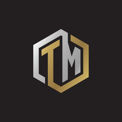Initial letter TM, looping line, hexagon shape logo, silver gold color on black background