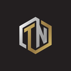 Initial letter TN, looping line, hexagon shape logo, silver gold color on black background