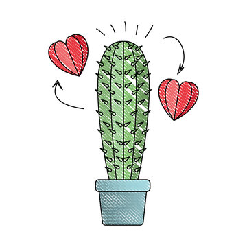 cactus in pot houseplant with heart vector illustration design