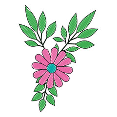 flowers and leafs decoratives vector illustration design