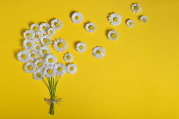 Abstract daisy flower bouquet