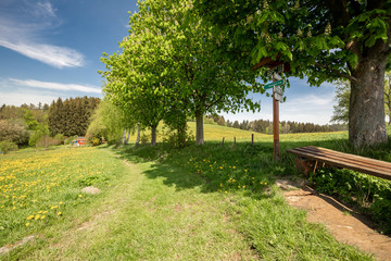 Obraz premium Wandern im Erzgebirge