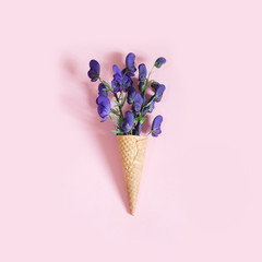 Purple aconitum flower in waffle cone on pink background. Concept. View from above.