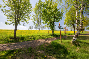 Fototapeta premium Wandern im Erzgebirge