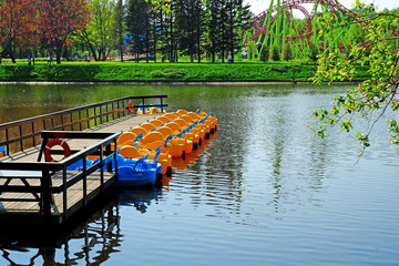 Water bike catamaran ride in the city summer park