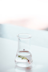 flask for bio research