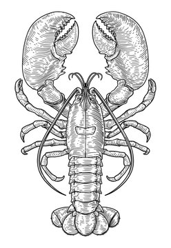 Lobster Vintage Style Woodcut