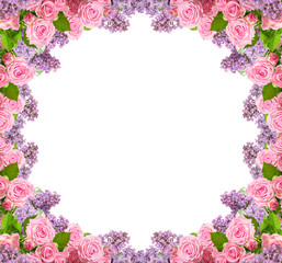 Frame of pink roses and lilac isolated on white backgroun