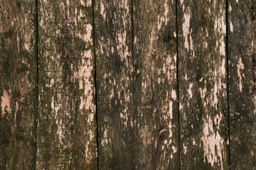 Background of wooden boards. Selective focus