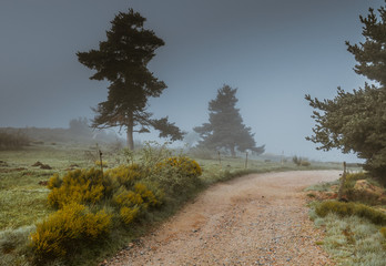 Chemin de Compostelle