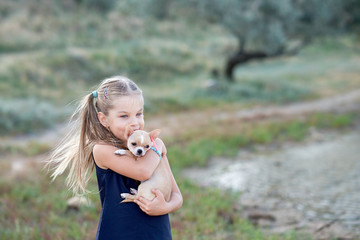girl hug a little puppy dog gray hairy chihuahua dog