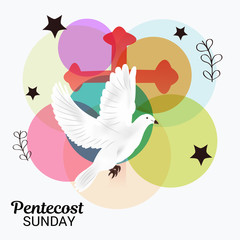 Pentecost Sunday.