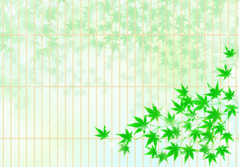 清涼感のある背景　障子と青もみじ