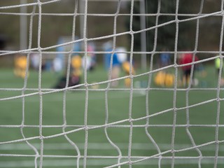 Goal a soccer net with green grass field. Detail of bound strings