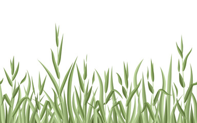 Grass. Seamless horizontal pattern on white isolated background.