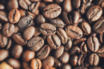 Close up roasted brown coffee bean. Macro view. Selective focus