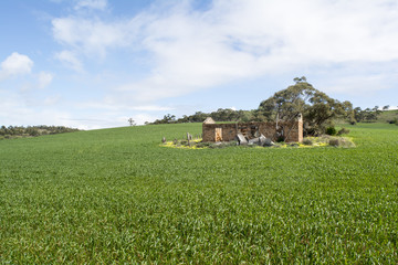 Homestead Ruins, Murraylands Region