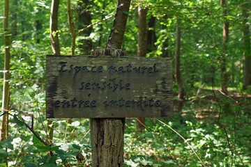 Nature reserve of the Sorques plain in Île de France