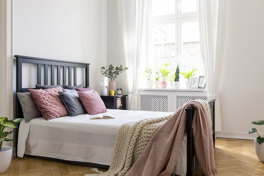 Pink blanket on bed with black headboard in bright bedroom interior with plants and window. Real photo