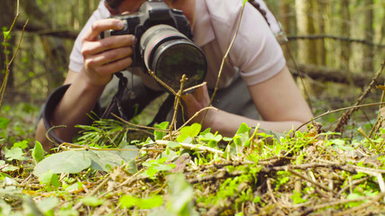 Close up. The woman ecologist making photos of the plants in the forest.