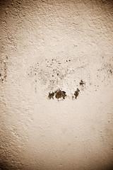 Wall background view