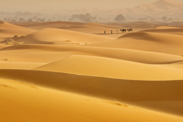 Fototapeta na wymiar little caravan go between sand dunes in Morocco