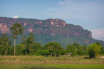 Beautiful scenery of the sandstone mountain (Phu Langka) with the seedlings (in-season rice field) in the foreground, Phu Langka National Park, Nakhon Phanom, Thailand