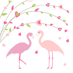 Fototapeta premium Two pink flamingos in love