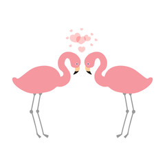 Two pink flamingos in love