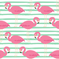 stripe broad and flamingos seamless