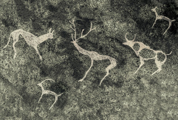 Images of ancient animals on the wall of the cave, painted by an ancient man. history. archeology