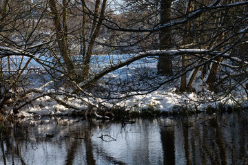 Obraz premium snow winter cold icy landscape