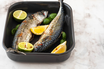 Fresh fish. Mackerel with salt, lemon and spices on white background. Cooking fish with herbs. Top view