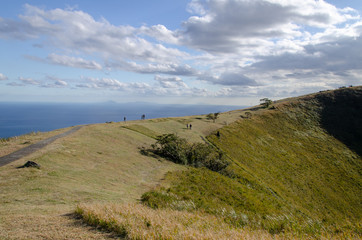 大室山　山頂尾根