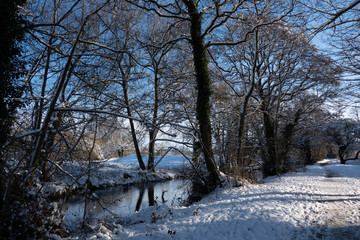 snow winter cold icy landscape